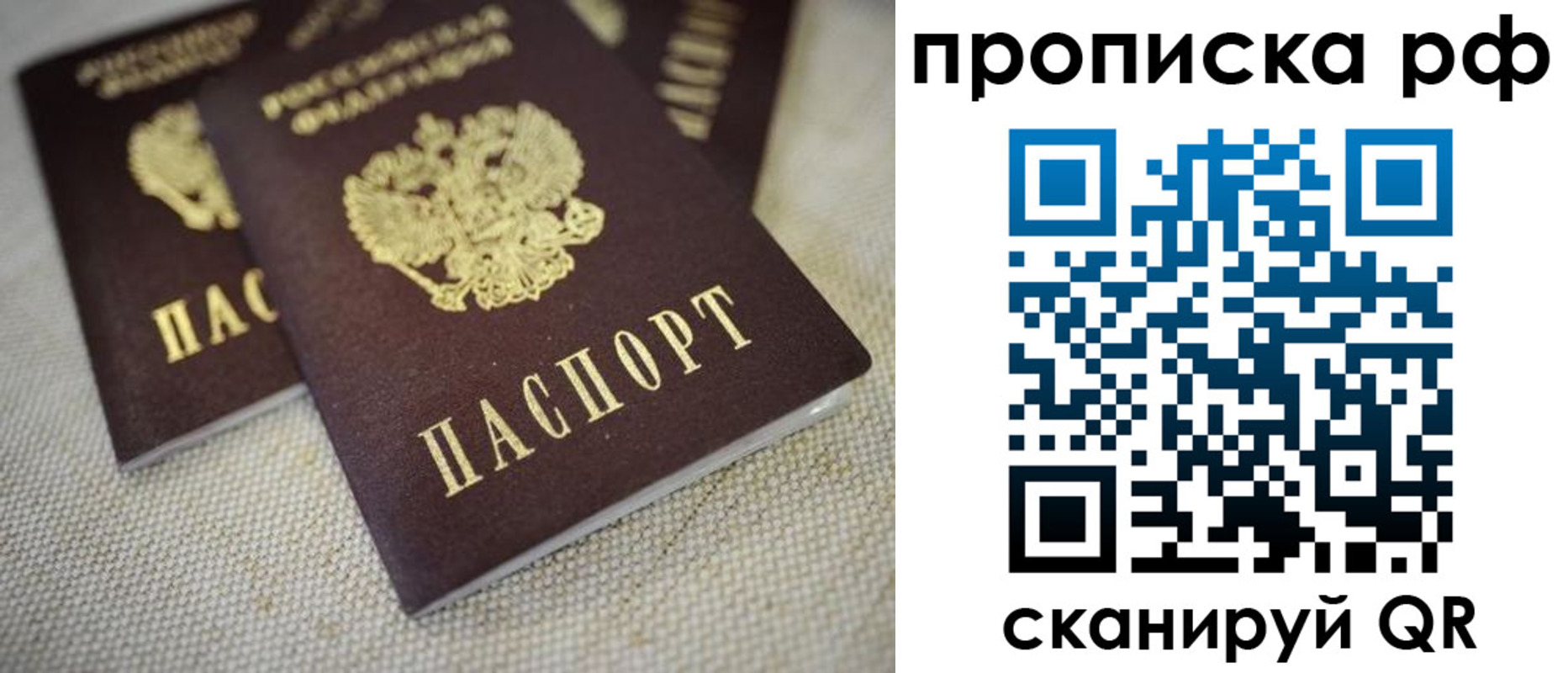 прописка от собственника в Мончегорске